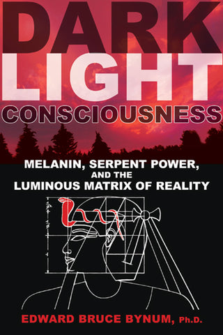 Dark Light Consciousness