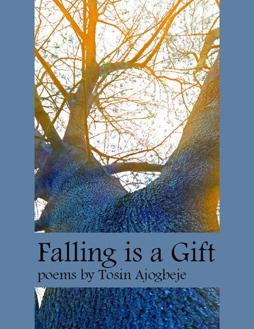 Falling is a Gift - Paperback